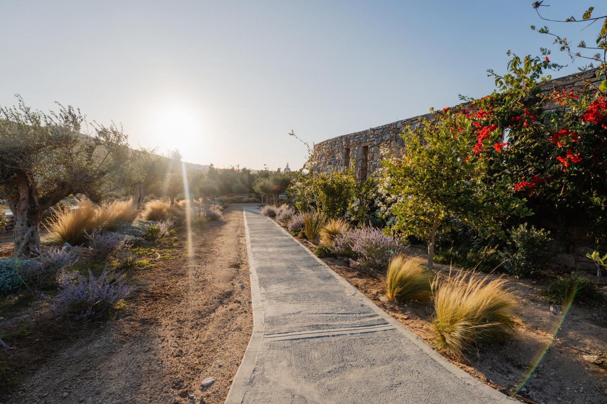 Oliving Mykonos Luxury Suites Κλουβάς Εξωτερικό φωτογραφία